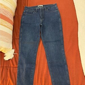 Madewell Dark Blue Skinny Jeans